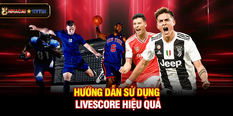 Livescore 2 Hướng dẫn sử dụng livescore hiệu quả
